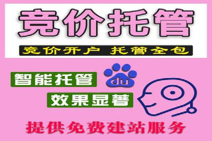 百度SEO推广公司案例分享：实战优化策略大放送